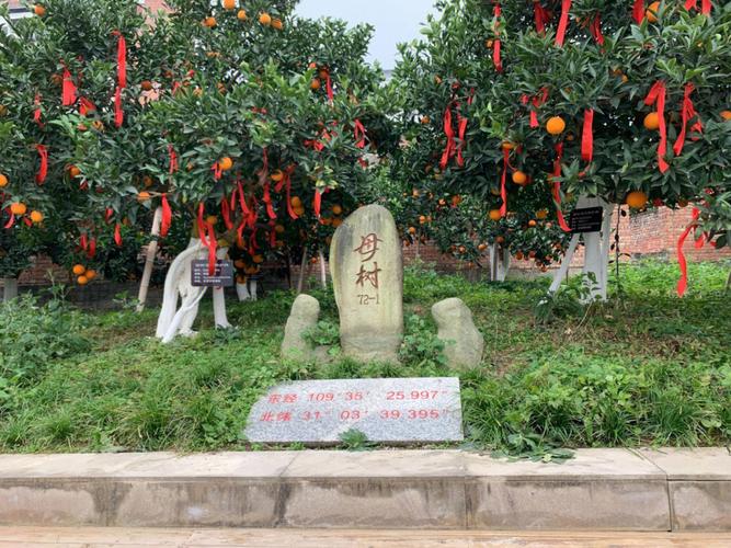 奉节脐橙风景园地址在哪里,风景园地址揭秘